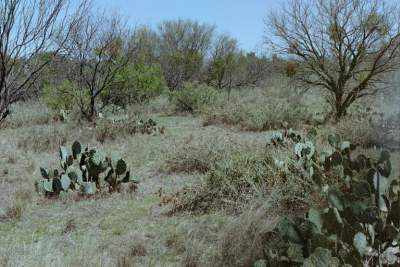 TEXAS REST STOP HILLS.JPG